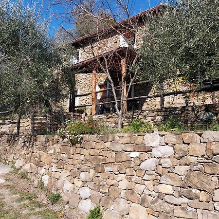Vila Nostro Rifugio Apricale Exteriér fotografie