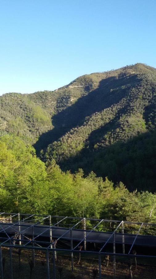 Vila Nostro Rifugio Apricale Exteriér fotografie