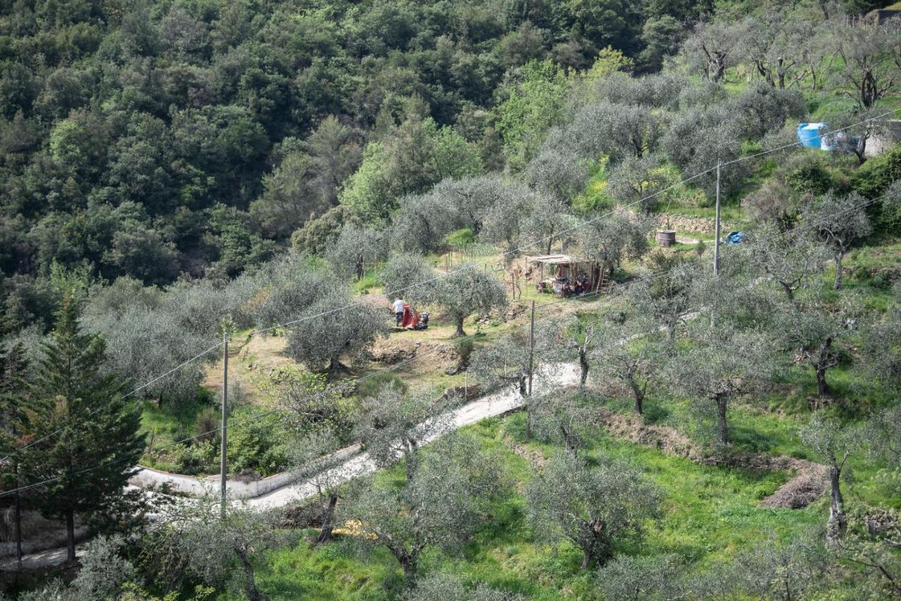 Vila Nostro Rifugio Apricale Exteriér fotografie