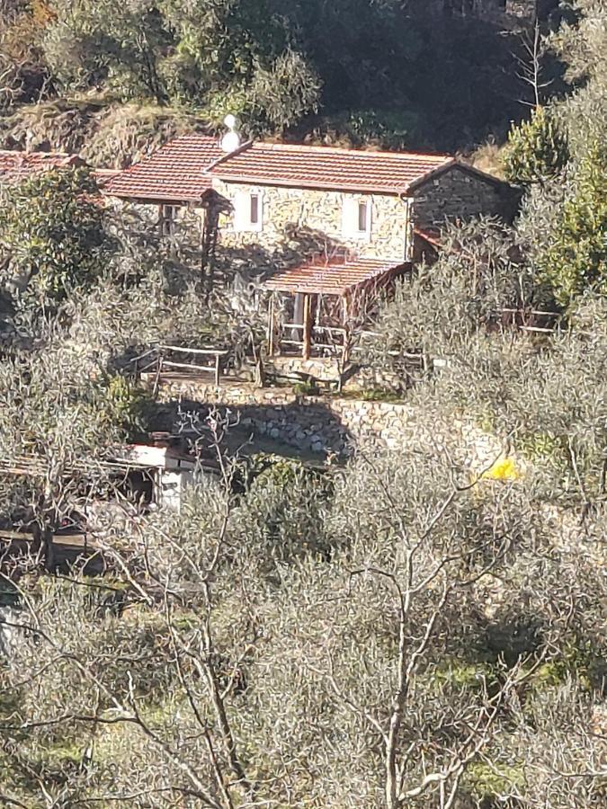 Vila Nostro Rifugio Apricale Exteriér fotografie