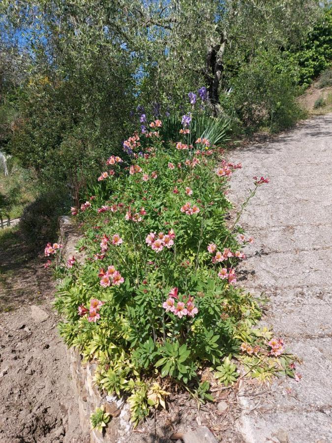 Vila Nostro Rifugio Apricale Exteriér fotografie