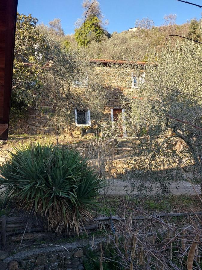 Vila Nostro Rifugio Apricale Exteriér fotografie