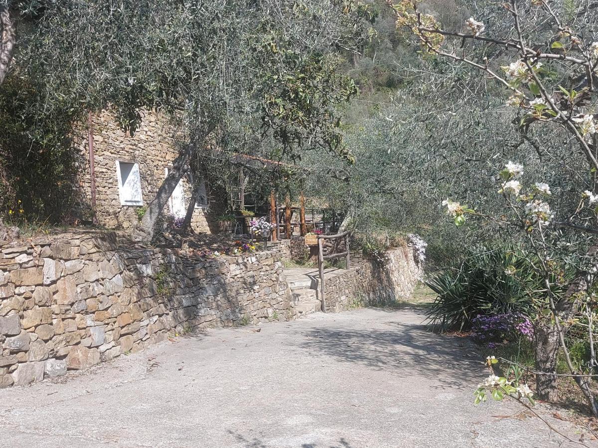Vila Nostro Rifugio Apricale Exteriér fotografie