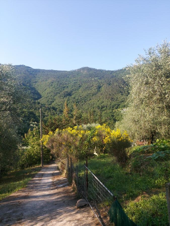 Vila Nostro Rifugio Apricale Exteriér fotografie